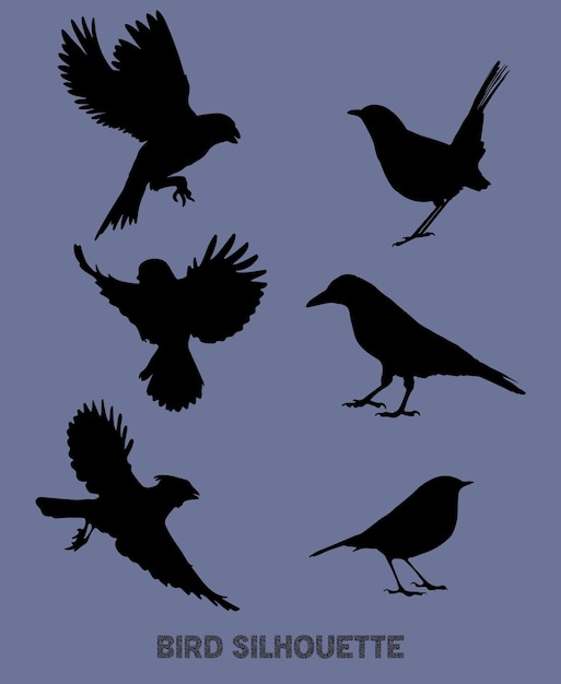 Vector silueta de aves