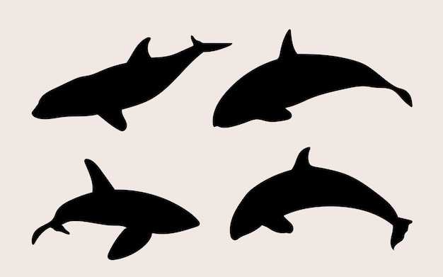 Silueta de ballena dibujada a mano