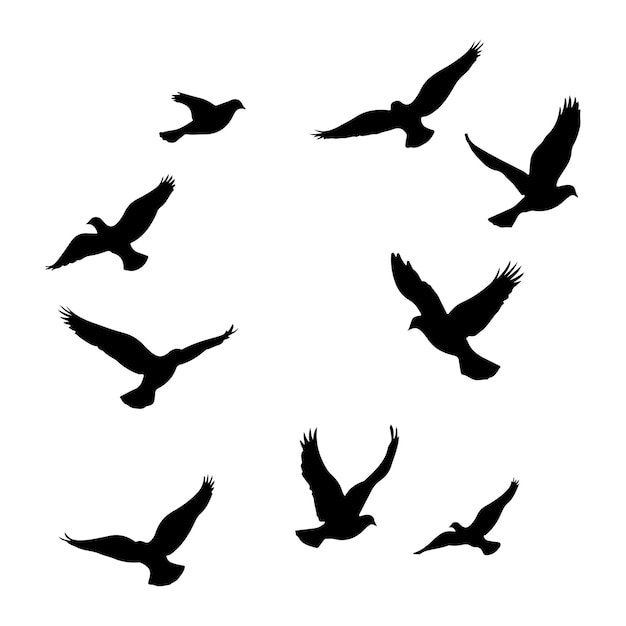 Silueta de una bandada de aves en vuelo contra un fondo blanco