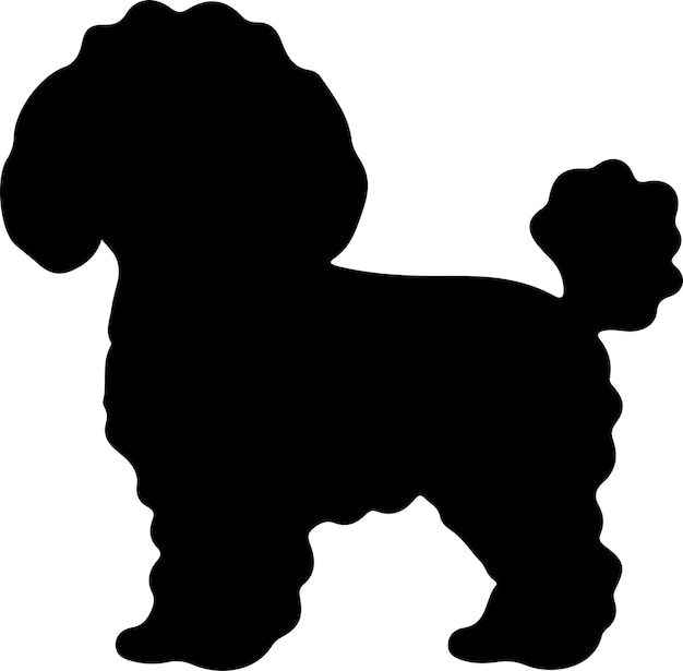 Vector silueta de bichonfrise