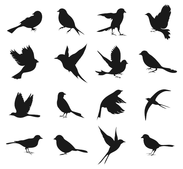 Vector silueta, de, birds2