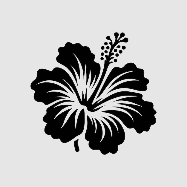 La silueta blanca y negra de la flor del hibisco