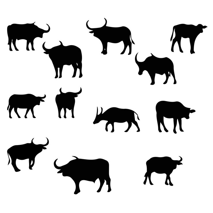 Vector silueta de búfalo pose diferente