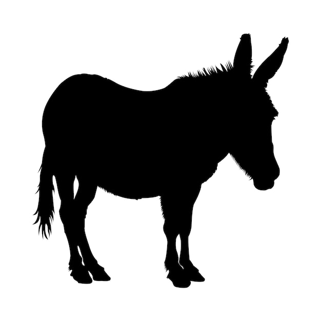 Vector silueta de burro en blanco