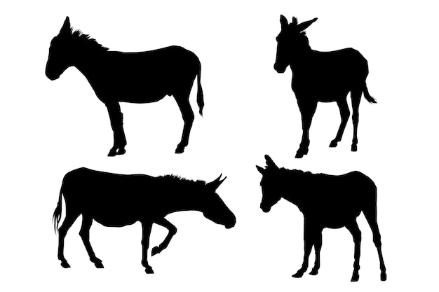 Silueta de burro dibujada a mano