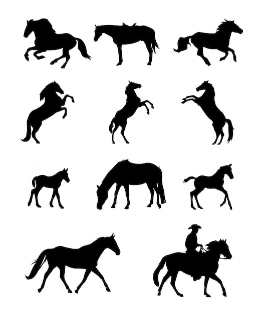 Vector silueta de caballo