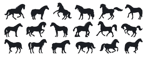 Vector silueta de caballos de dibujos animados animales domésticos de diferentes razas y poses conjunto de ilustraciones vectoriales planas siluetas de caballos de granja agraciados