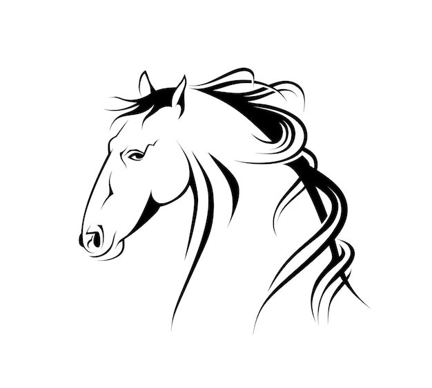 silueta, cabeza, caballo