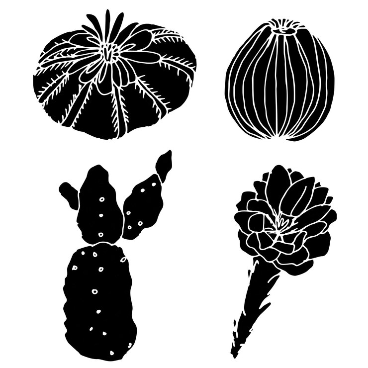 Vector silueta de un cactus sobre un fondo blanco. colección de logotipos. conjunto de elementos decorativos.