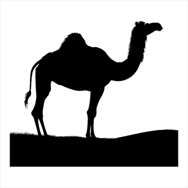 Silueta de camello en la parte superior El más hermoso patrón de Bakra Eid sobre un fondo blanco Eid ul Adha