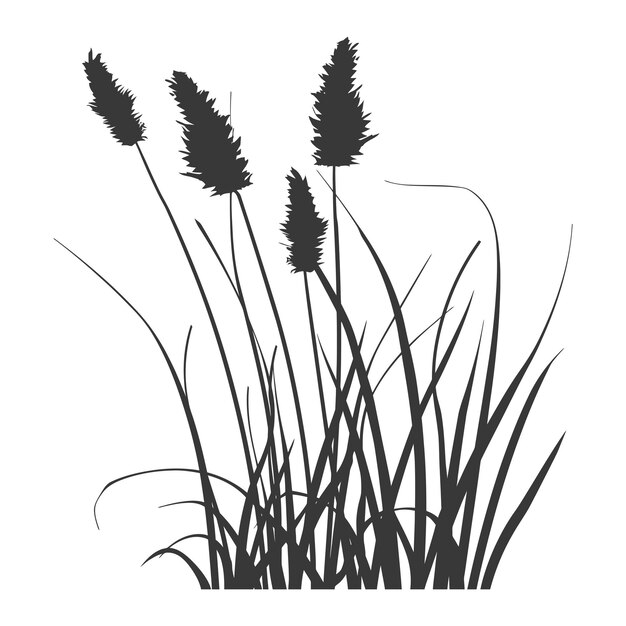 Vector silueta de caña de agua negra plan cattails hoja color negro sólo