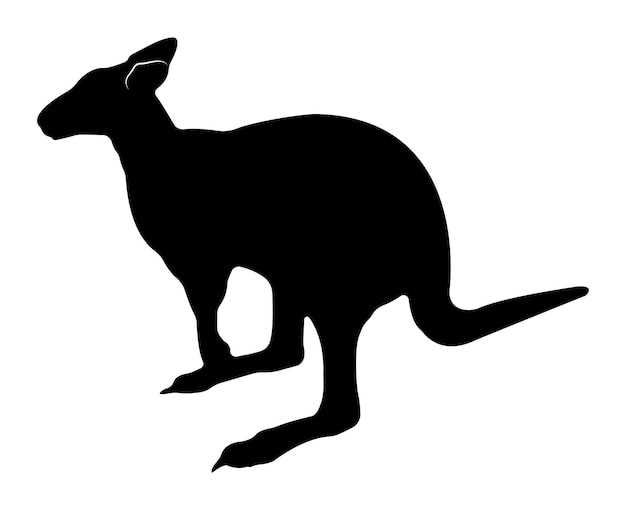 Silueta de canguro plano vectorial aislada sobre fondo blanco