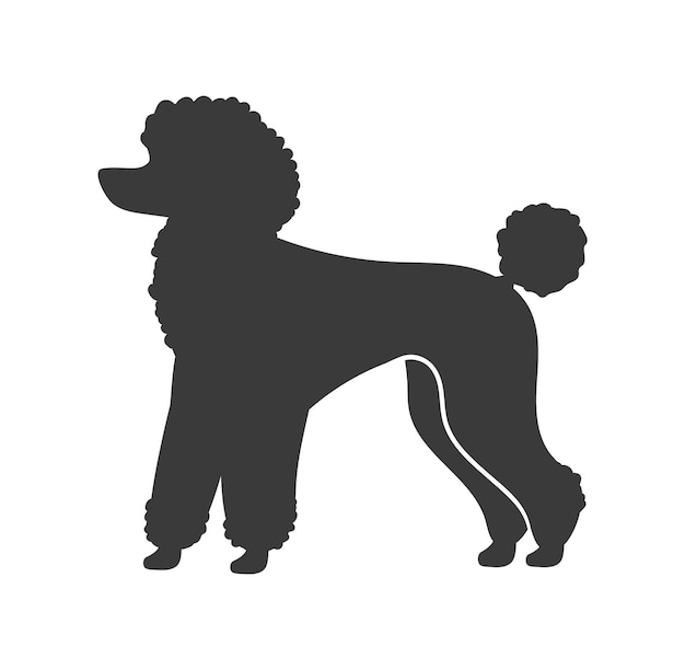 Vector silueta de caniche. perro peludo doméstico decorativo, icono de vectores aislado sobre fondo blanco