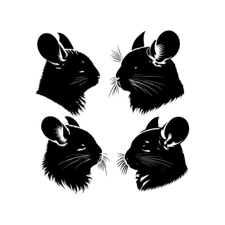 La silueta de la chinchilla de Victor Art