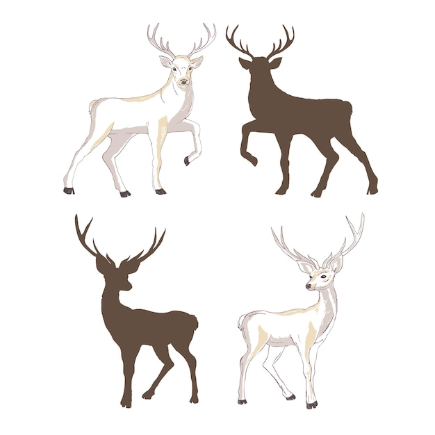 silueta de ciervo y boceto, vector, ilustración, animales, sobre fondo blanco, imagen de animales