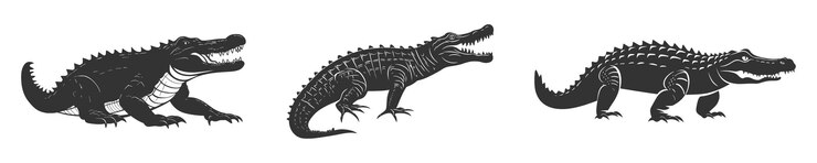Vector silueta de cocodrilo cocodrilo ilustración vectorial