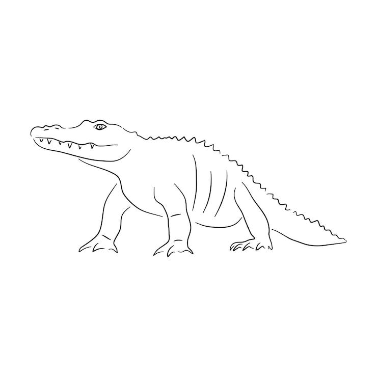 Vector silueta de un cocodrilo hecho en estilo boceto ilustración vectorial