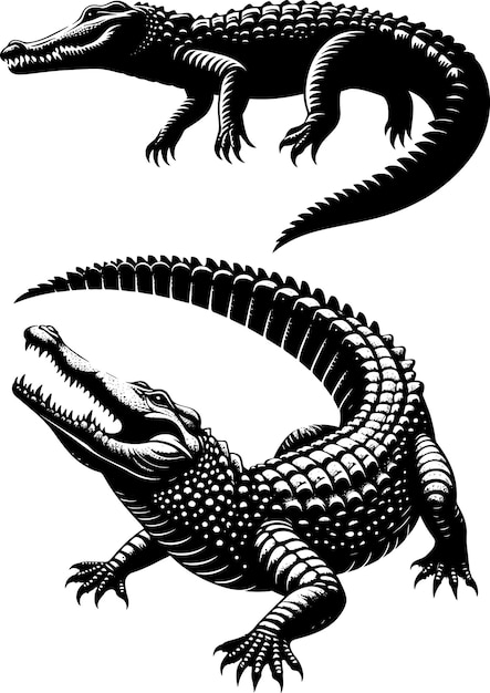 la silueta del cocodrilo