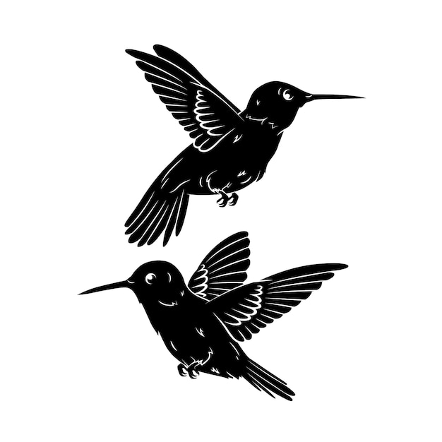 Vector silueta de colibrí dibujada a mano