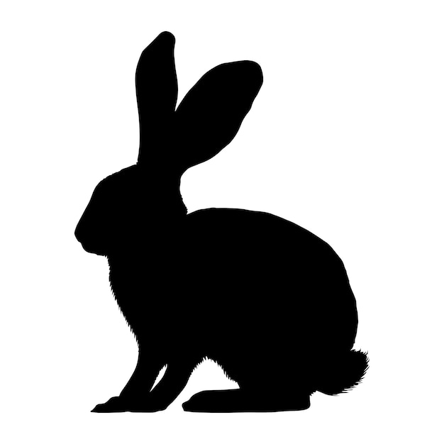 Silueta de conejo aislada sobre fondo blanco Ilustración vectorial