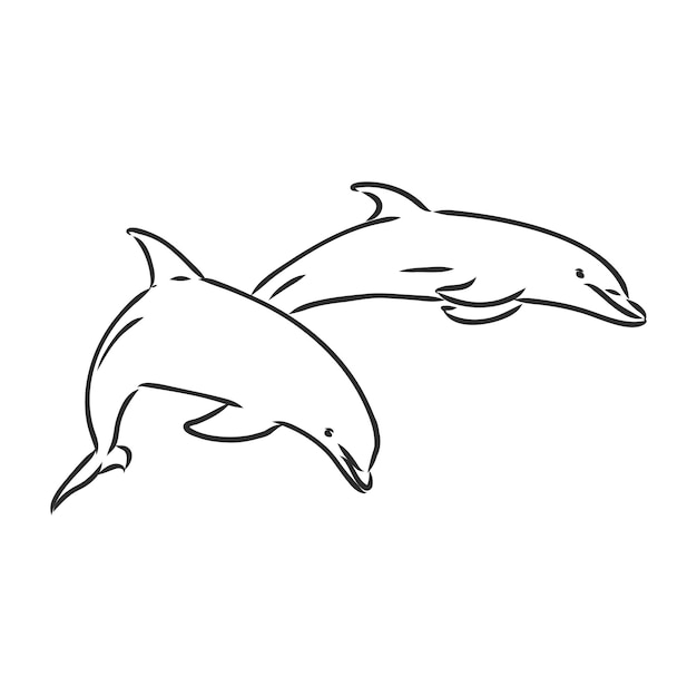 Silueta de delfín simple. delfín, dibujo vectorial sobre un fondo blanco