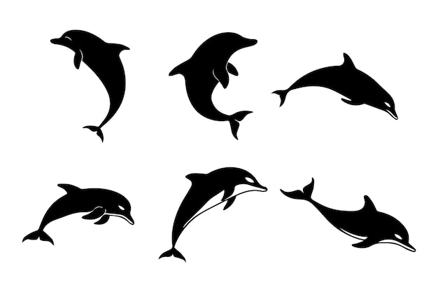 La silueta de los delfines Una colección de mamíferos acuáticos