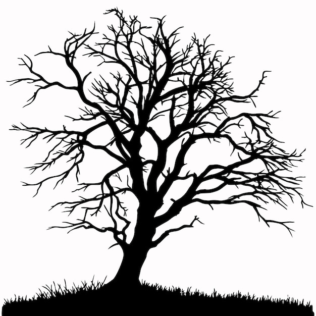 Silueta desnuda del árbol
