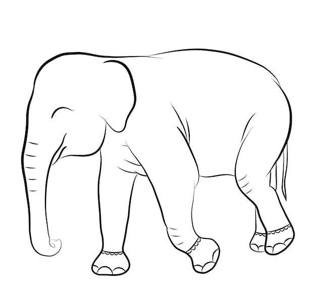 Silueta de elefante para colorear libro