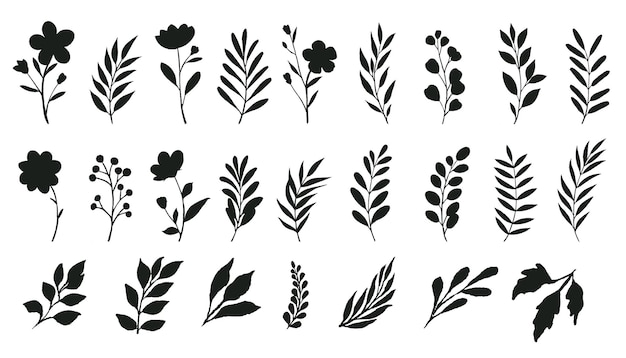 silueta de los elementos florales botánicos