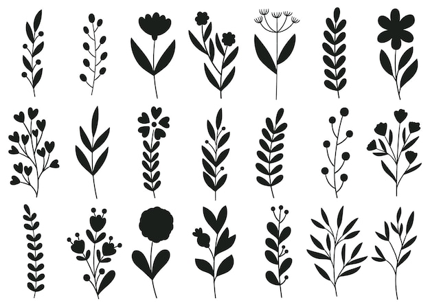 silueta de los elementos florales botánicos