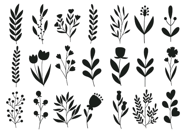 silueta de los elementos florales botánicos