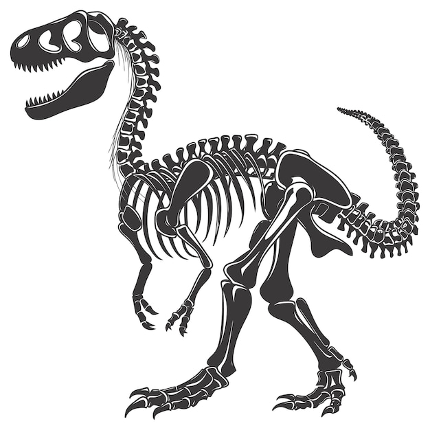 Vector silueta esqueleto de dinosaurio sólo color negro