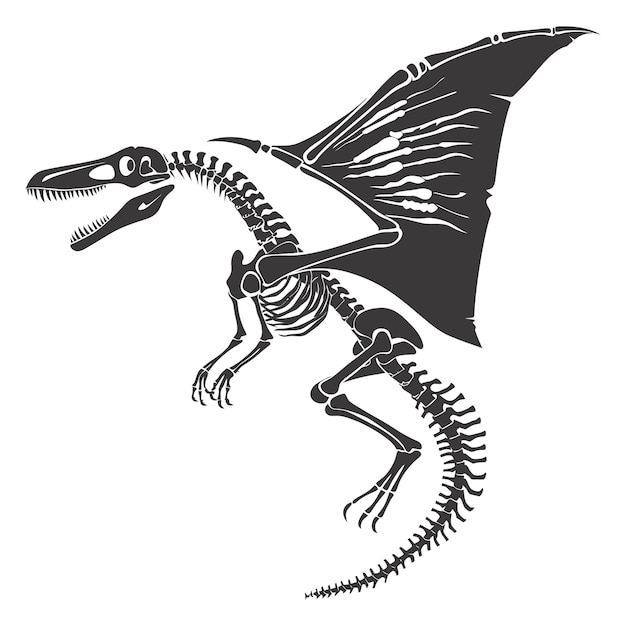 Silueta del esqueleto del pterodáctilo del dinosaurio sólo color negro