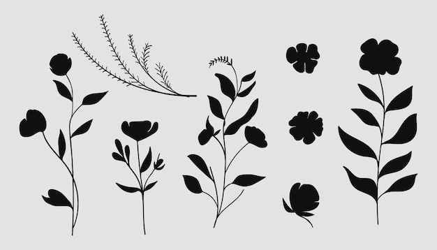 Silueta estética de flores y hojas botánicas