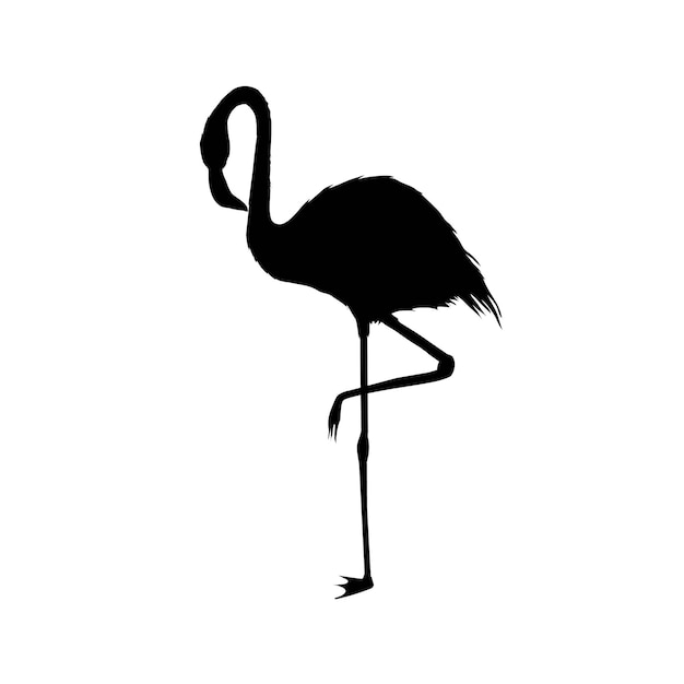 Silueta de flamenco, archivo vectorial de pájaro, ilustración