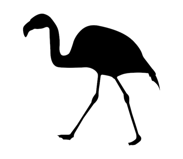 Silueta de flamenco plano vectorial aislada sobre fondo blanco