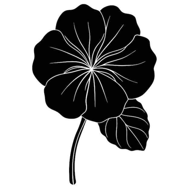 La silueta de la flor de Nasturtium negro