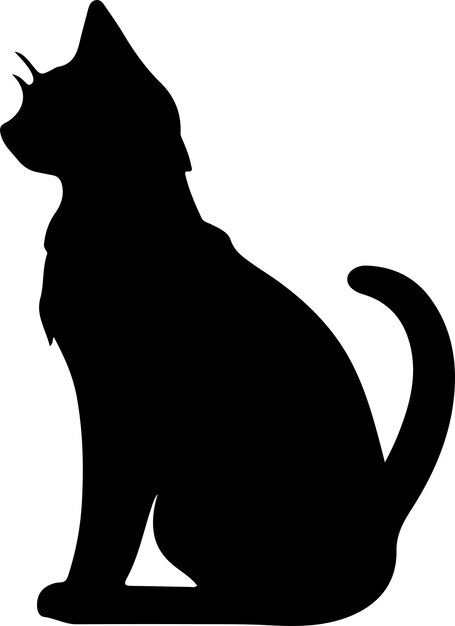 silueta de gato negra con fondo transparente