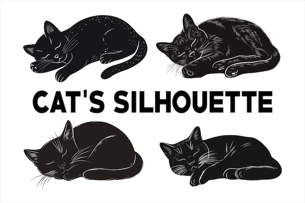 silueta de los gatos durmiendo