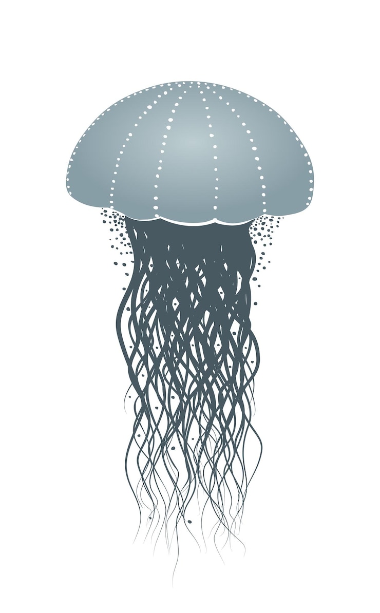 Vector la silueta de una gran medusa de mar