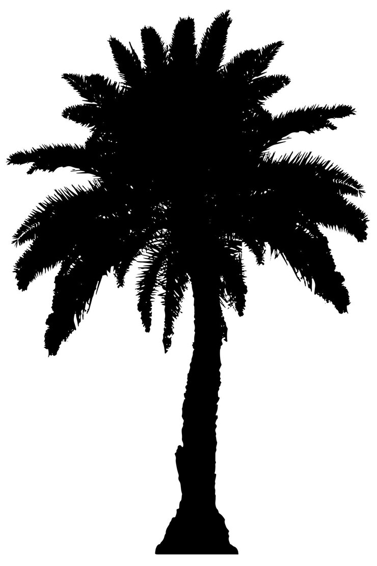 Vector silueta de una gran palmera de aceite o elaeis guineensis patrón de fondo abstracto de un árbol tropical