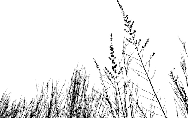 Silueta de hierba Jardín de flores Prado naturaleza Ilustración vectorial