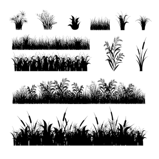 Silueta de hierba negra Conjunto de elementos de decoración aislados en un vector de fondo blanco