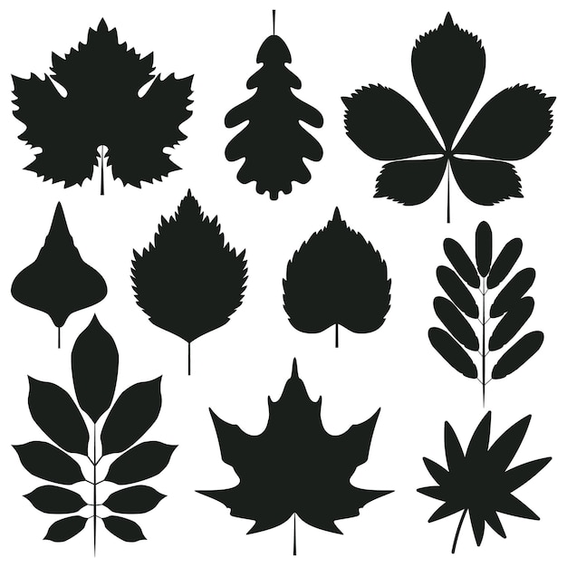 silueta de la hoja de arce de otoño