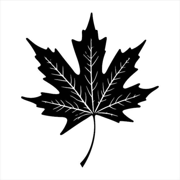 Silueta de hoja de arce Vector de regalías silueta de color negro