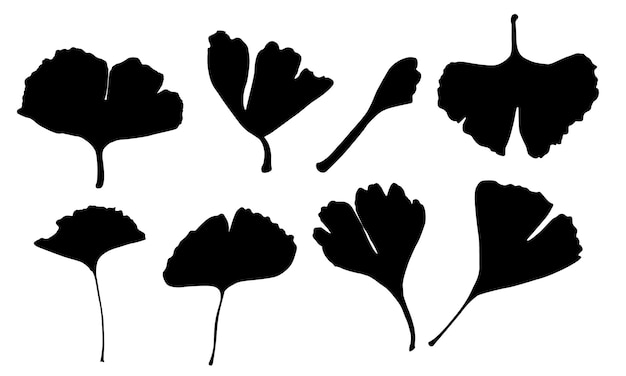 la silueta de la hoja de ginkgo