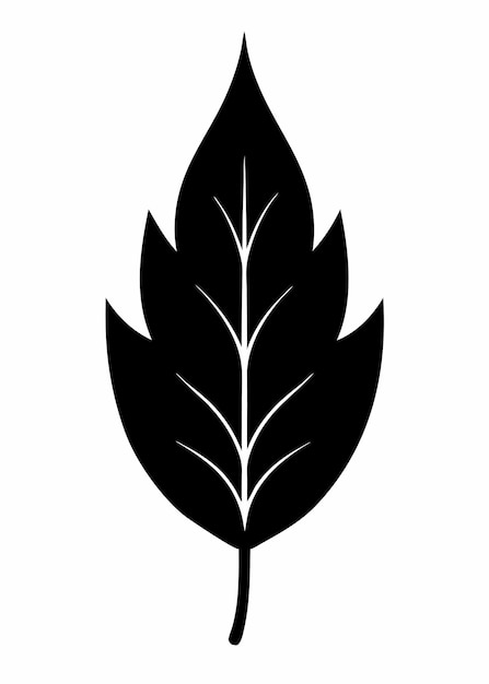 Silueta de hoja negra sobre un fondo blanco