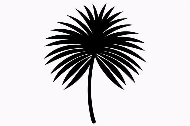 Silueta de hoja de palma negra sobre un fondo blanco