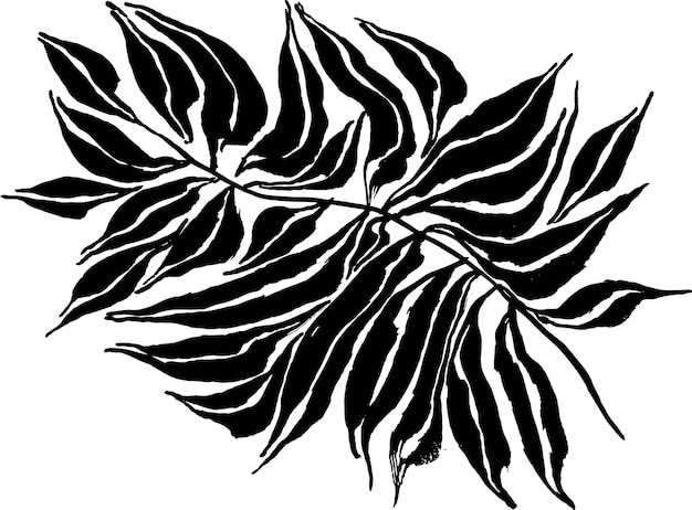 Vector silueta de hojas de palma de pincel de arte