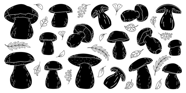 La silueta de los hongos Boletus es un conjunto de hongos del bosque edulis dibujados a mano por porcini